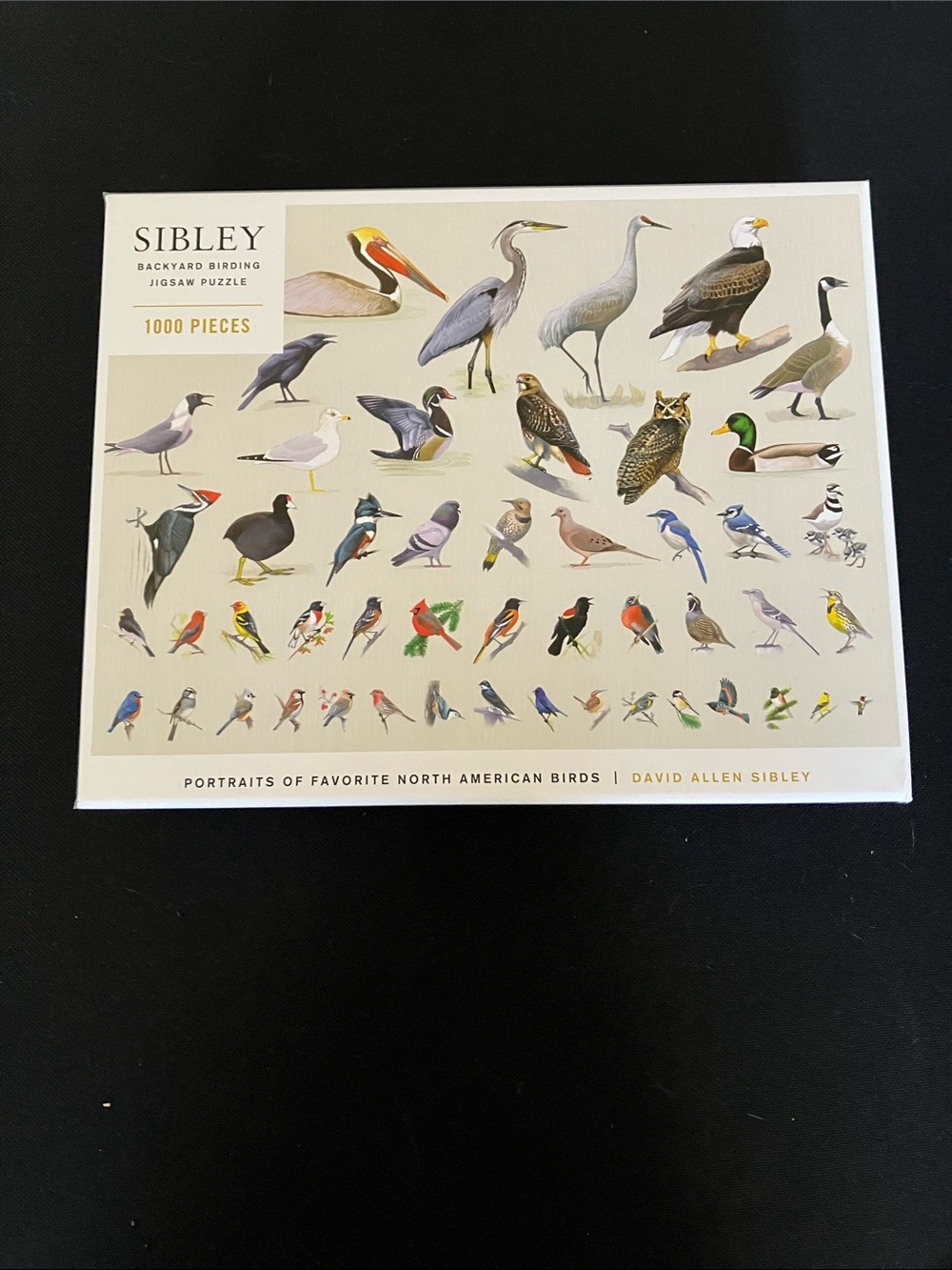 Backyard Birding 1000-Piece Jigsaw Puzzle - Multicolor